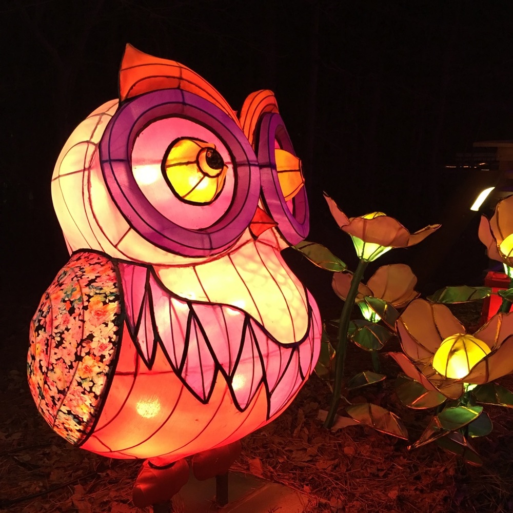 Meet your Posher, Clarice